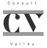 Consult Vally